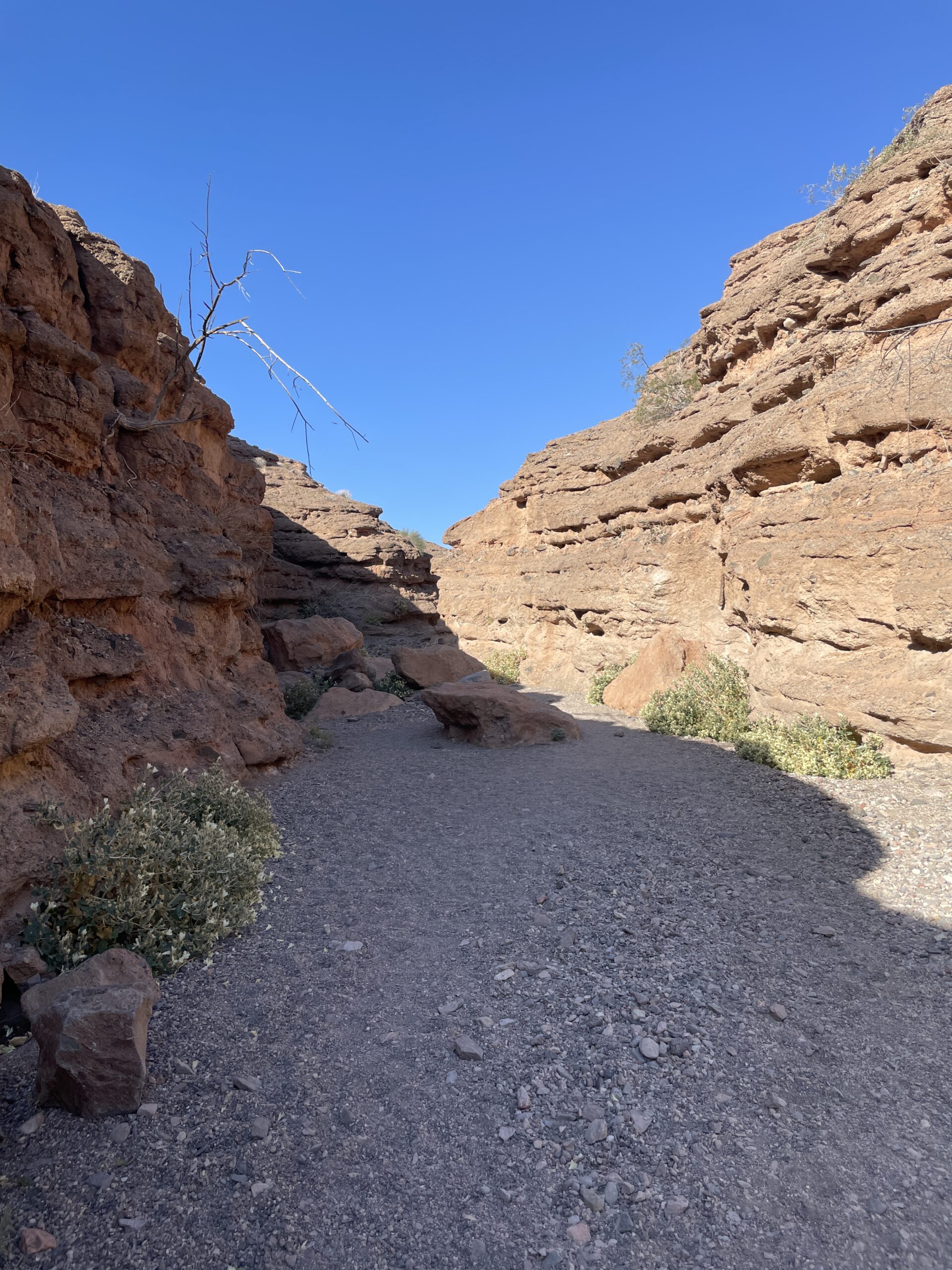 Hiking Owl Canyon, Lake Mead Recreational Area, outside Las Vegas, NV. 