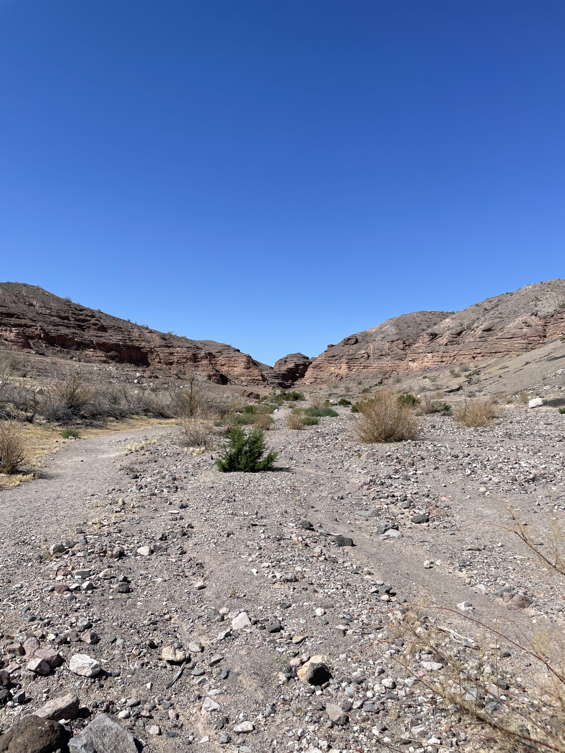 Hiking Owl Canyon, Lake Mead Recreational Area, outside Las Vegas, NV. 